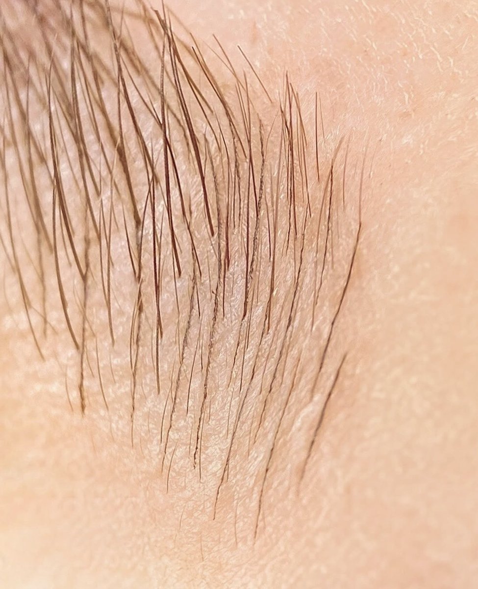 Nano Brow result 3