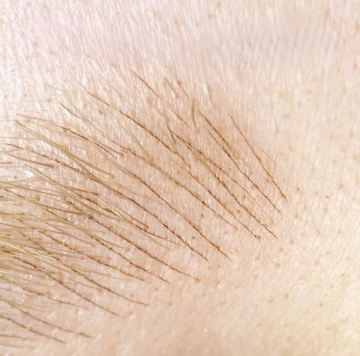 Nano Brow result 5