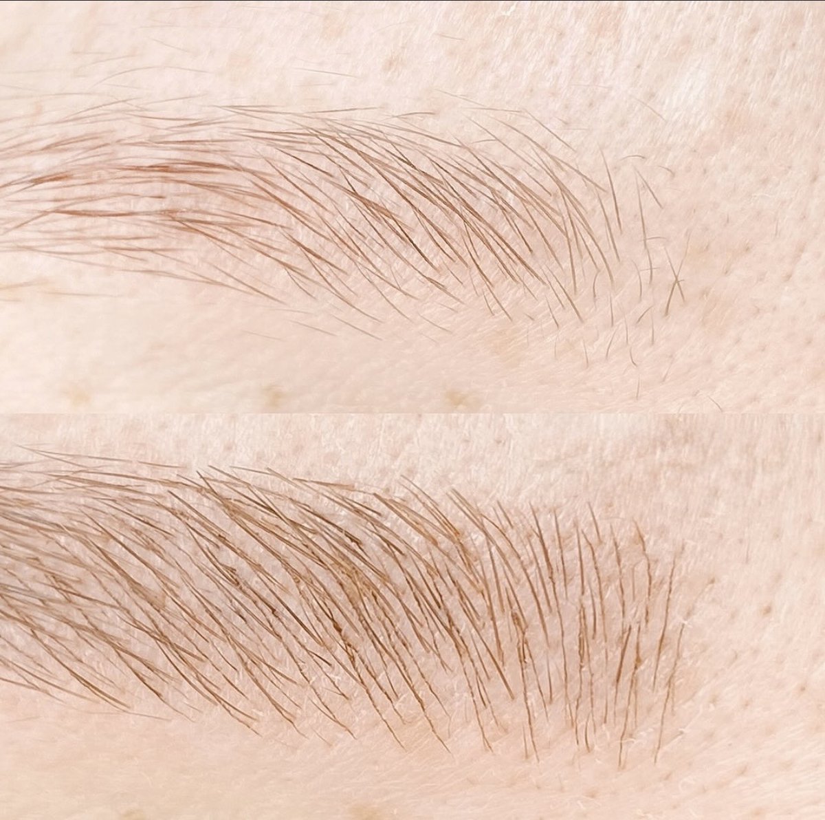 Nano Brow result 2